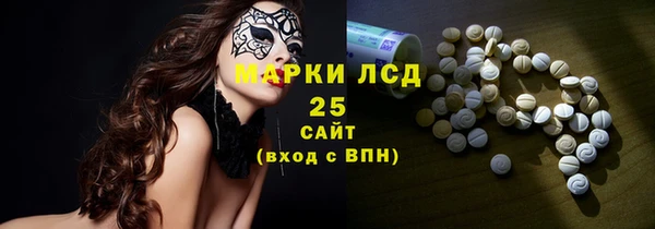 стаф Алзамай