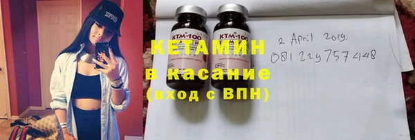 стаф Алзамай