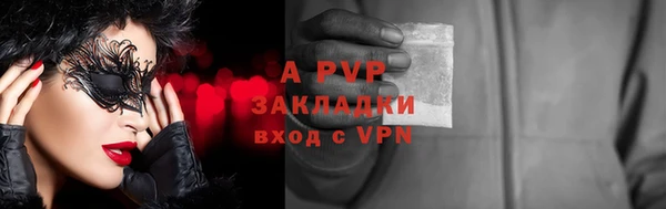 стаф Алзамай