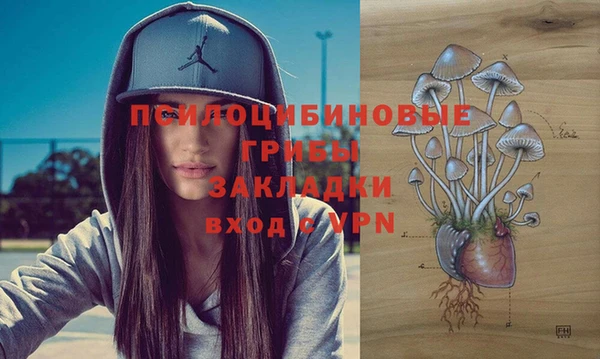 гидра Нея