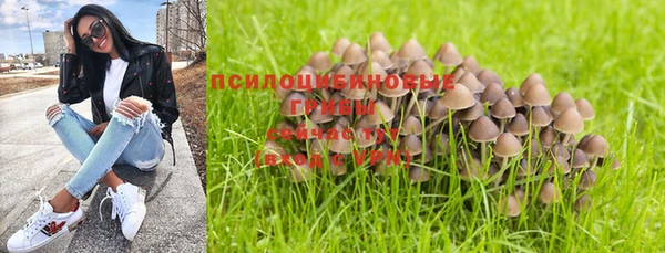 трава Алексин